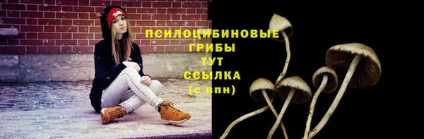 тгк Нязепетровск