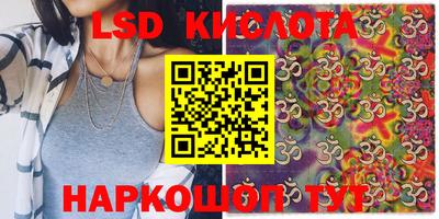 крисы Берёзовский