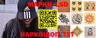 крисы Берёзовский