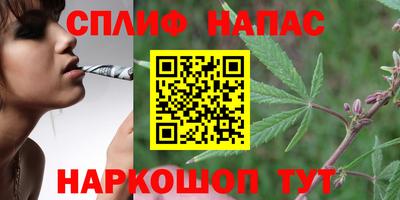 молекула духа Бийск