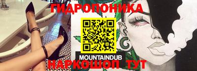 молекула духа Бийск