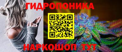 хмурый Бийск