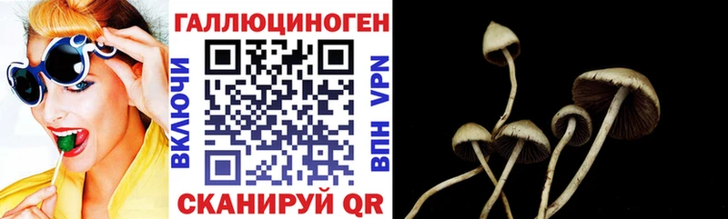 Галлюциногенные грибы GOLDEN TEACHER  omg зеркало  Соликамск 