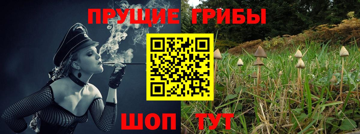 Галлюциногенные грибы MAGIC MUSHROOMS Соликамск