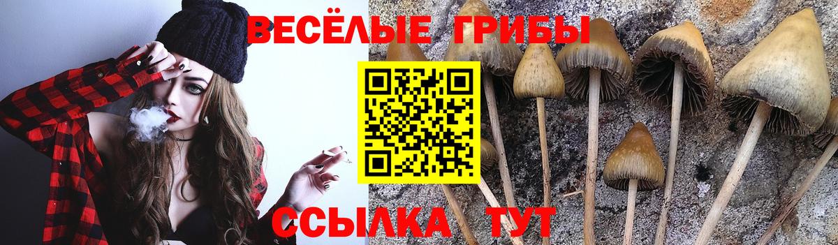 Галлюциногенные грибы Psilocybine cubensis  Псилоцибиновые грибы Cubensis  Соликамск  Вход с VPN 